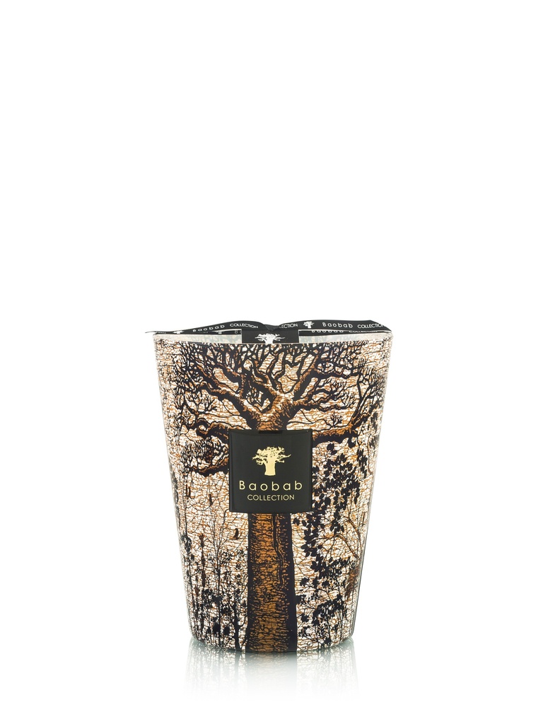 BAOBAB Candle Max 24 - 3Kg - SACRED TREE Morondo - 24 cm - 400 H.