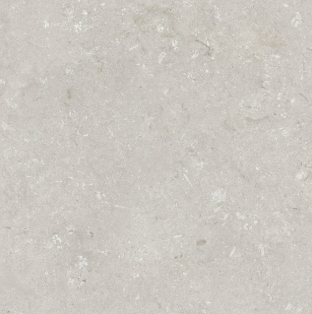 Shellstone Bianco 600x600x20 - rectifié - R11 C - V3 - 0.72m2 - 41.66 kg/ m2 - 21.60 m2 / palette