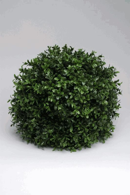 BOXWOOD BALL 35CM 4/10