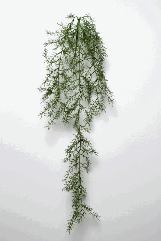 ASPARAGUS FERN GREEN 80CM 24/72