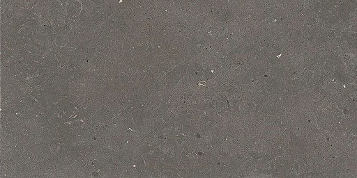 [1217S0216] Fjord Dusty 300x600x8 mm (296.4x595.8) natural plus - rectifié - R10 B - V2 - 1.44 m2 - 17.5 kg/m2 - 57.6 m2/palette