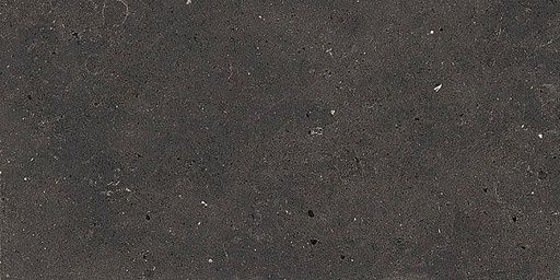 [1217S0218] Fjord Black 300x600x8 mm (296.4x595.8) natural plus - rectifié - R10 B - V2 - 1.44 m2 - 17.5 kg/m2 - 57.6 m2/palette