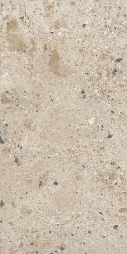 [1218S4273] Fragmenta Arlecchino SO 600x1200x10 (595.8x1195.8) - nat ret - R10 - 1.44m2 - 22.10 kg/ m2 - 38.88 m2/palette